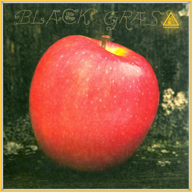 Little Wings - Black Grass Little Wings Black Grass Little Wings Black Grass