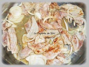 Strogonoff de veau SAM_4732
