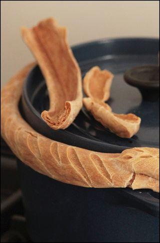Cocotte lutée gros plan Cocotte lutée gros plan
