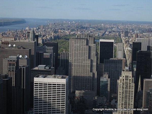 NY Empire state building 11 central park