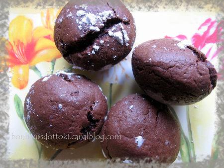 Petits moelleux au chocolat MOOOOOOOOOOO