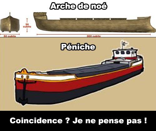 L’arche de Noé, c’est vraiment n’importe quoi ! Arche de noé