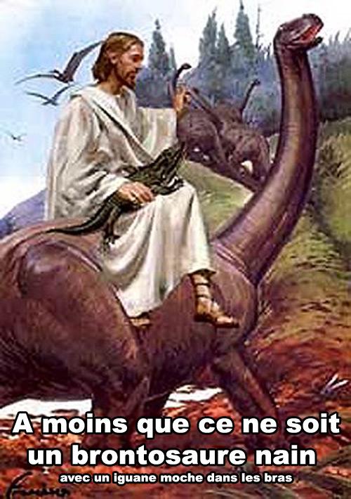 L’arche de Noé, c’est vraiment n’importe quoi ! Arche de noé