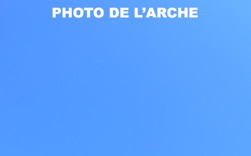 L’arche de Noé, c’est vraiment n’importe quoi ! Arche de noé