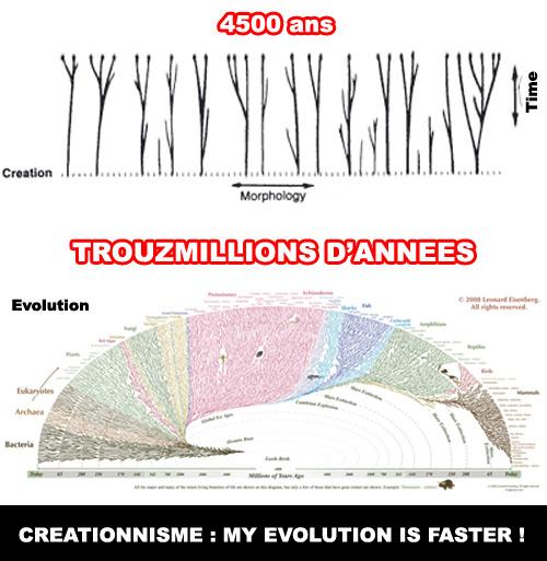 L’arche de Noé, c’est vraiment n’importe quoi ! Arche de noé