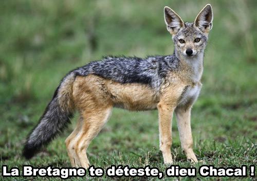 L’arche de Noé, c’est vraiment n’importe quoi ! Arche de noé