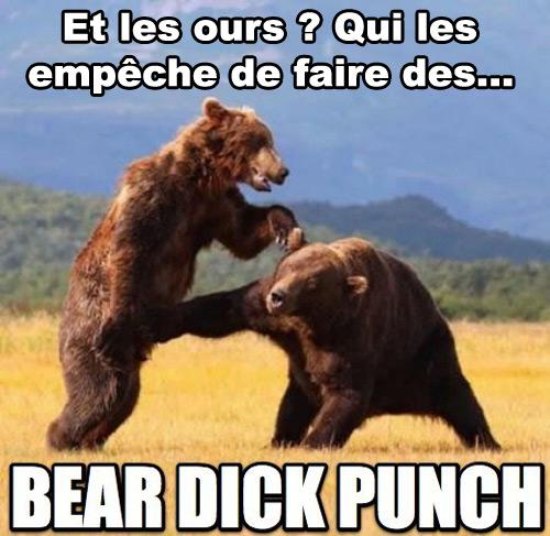 L’arche de Noé, c’est vraiment n’importe quoi ! Arche de noé