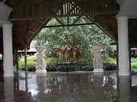 Dépolluez vos intérieurs Dépolluez vos intérieurs