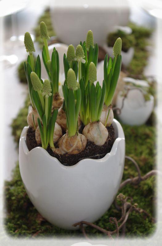 Pâques vêtu de blanc... P_ques_blanc_065_modifi__1