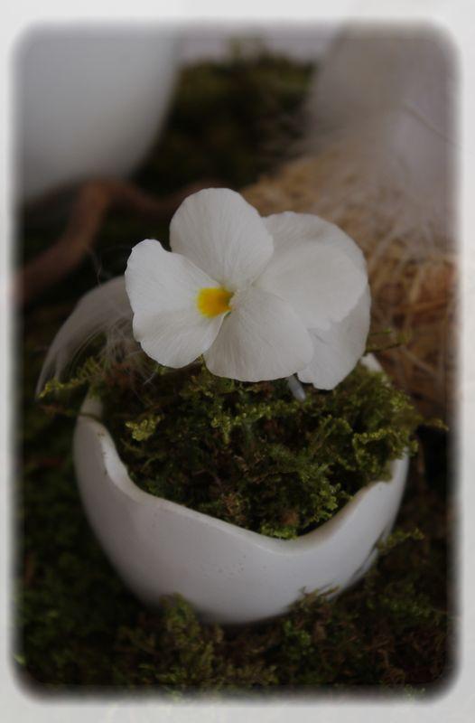 Pâques vêtu de blanc... P_ques_blanc_066_modifi__1