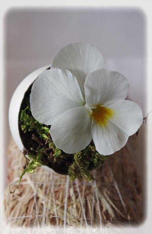 Pâques vêtu de blanc... P_ques_blanc_008_modifi__1