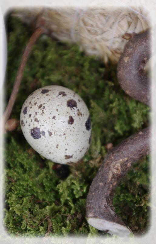 Pâques vêtu de blanc... P_ques_blanc_071_modifi__1