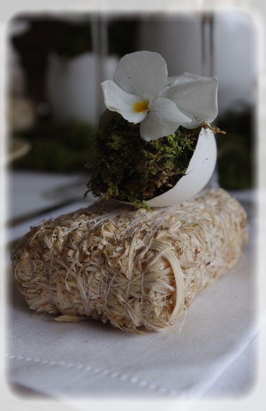 Pâques vêtu de blanc... P_ques_blanc_024_modifi__1