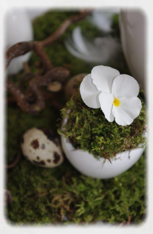 Pâques vêtu de blanc... P_ques_blanc_025_modifi__1