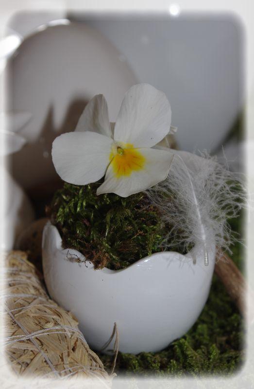 Pâques vêtu de blanc... P_ques_blanc_013_modifi__1