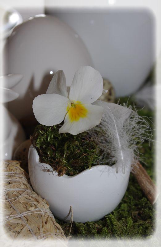 Pâques vêtu de blanc... P_ques_blanc_014_modifi__1