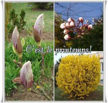 C'est le printemps, 20 mars 2011 C'est le printemps, 20 mars 2011