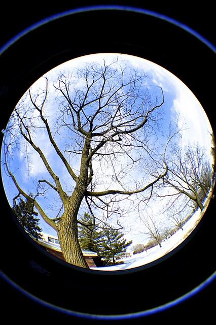 Du nouveau dans ma folie... Du nouveau dans ma folie...