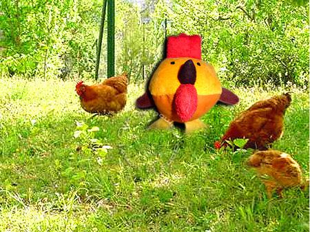 BALLE C COMME COQ balle_coq6