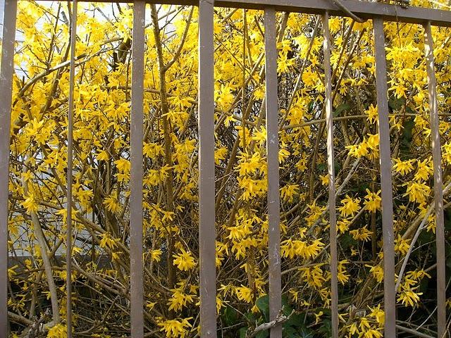 reprise des cours avant l'heure reprise des cours avant l'heure