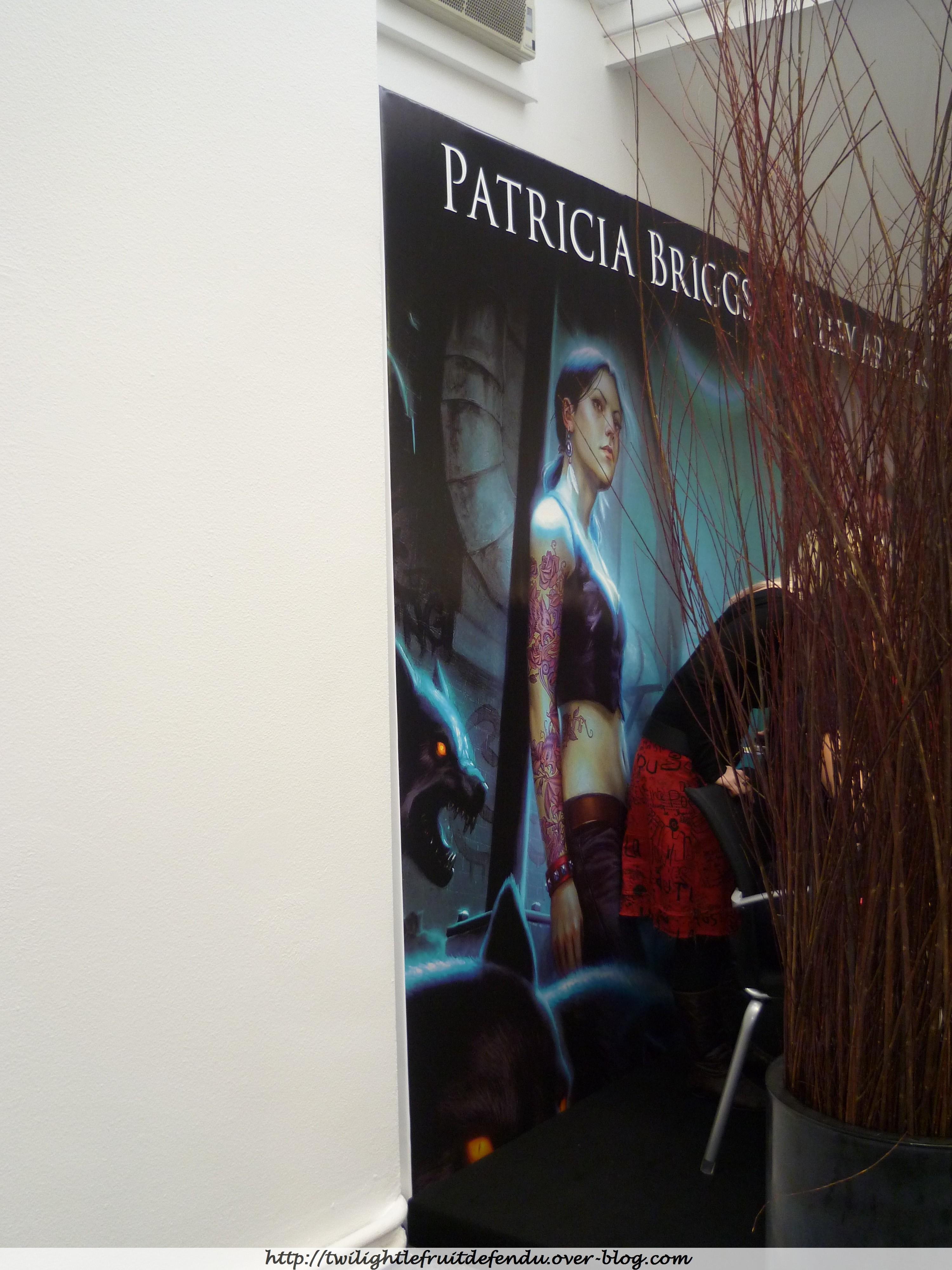 Mon après midi chez Bragelonne ! http://img857.imageshack.us/img857/8742/affiche2.jpg