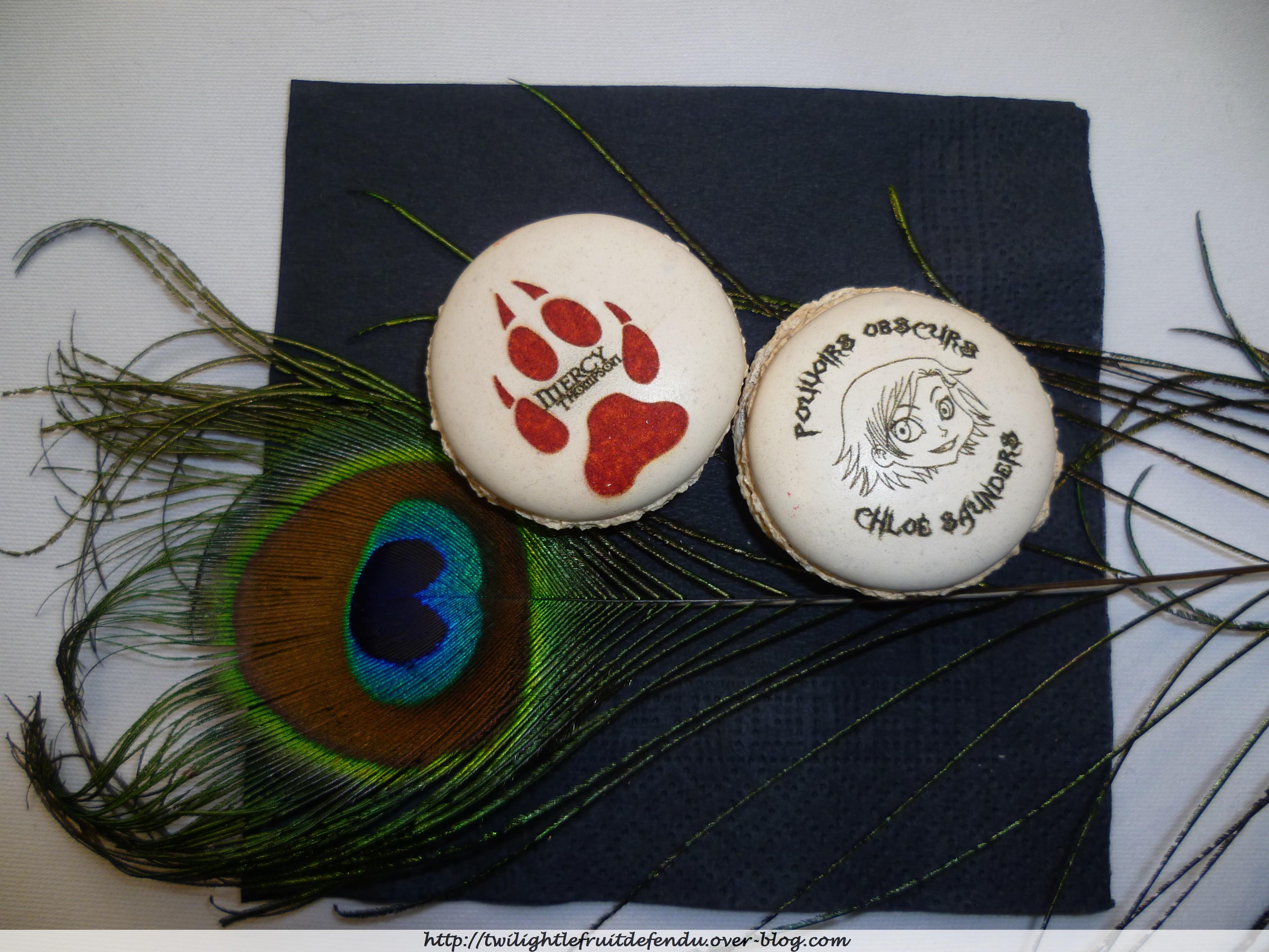 Mon après midi chez Bragelonne ! http://img607.imageshack.us/img607/9366/macaronart.jpg