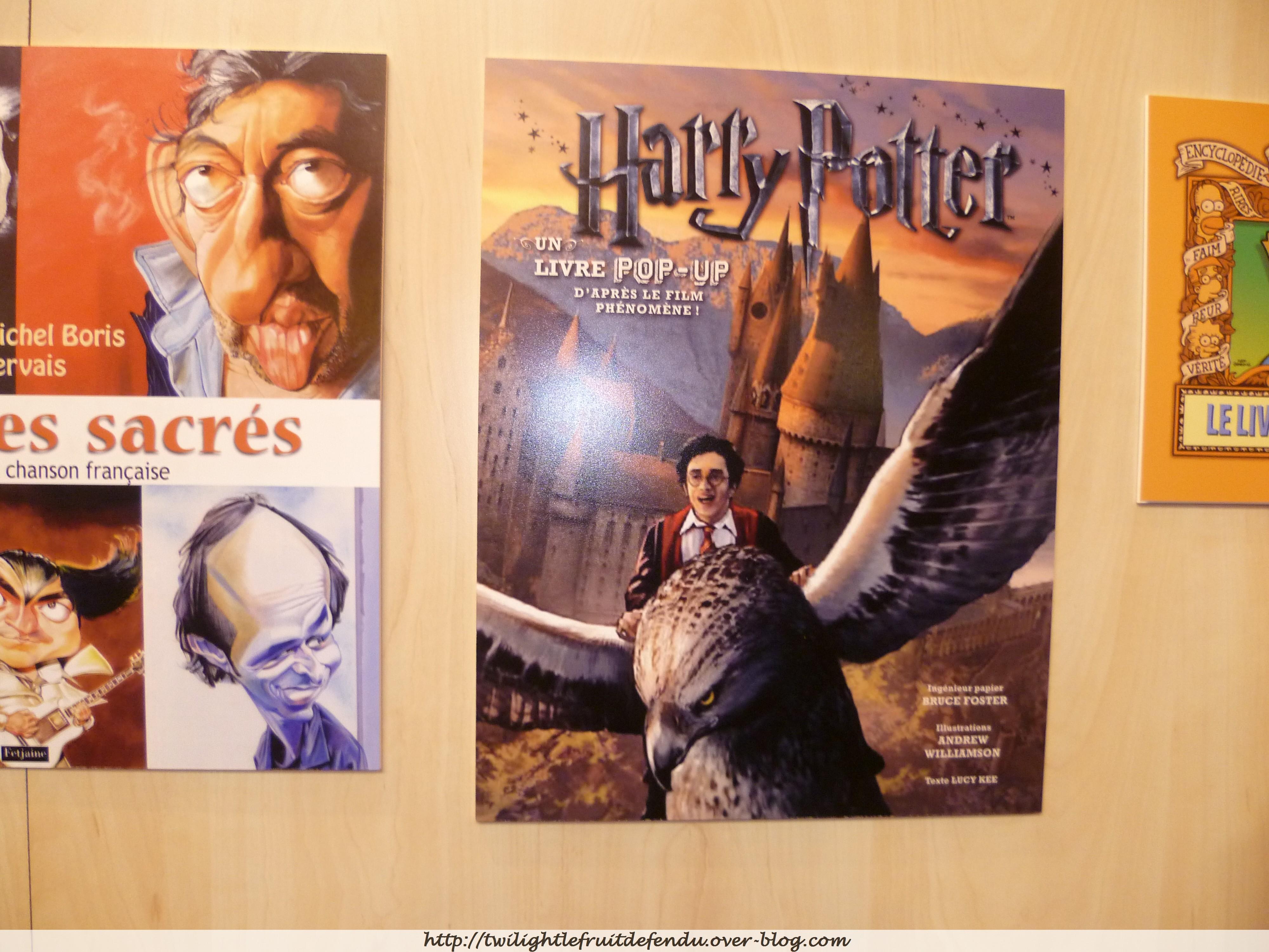 Une soirée au Salon du Livre ! http://img69.imageshack.us/img69/9892/97404234.jpg