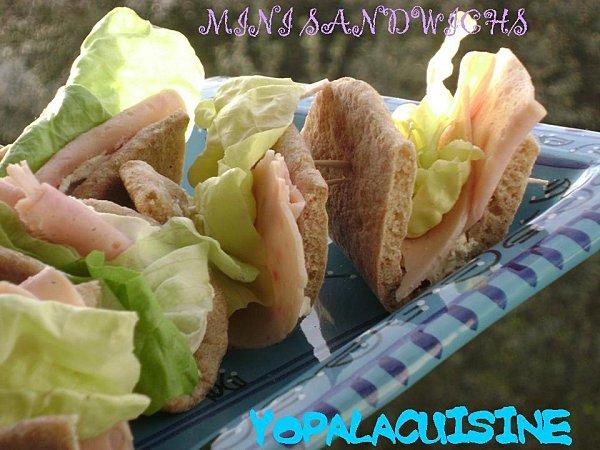 LES PAINS PITA COMPLETS Diapositive3-copie-5