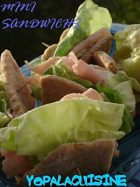 LES PAINS PITA COMPLETS Diapositive2-copie-6