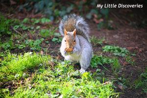 Spring has sprung! Printemps_IMG_0251