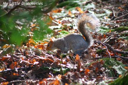 Spring has sprung! Printemps_IMG_0243