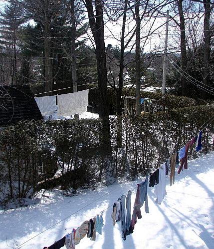 Primavera DSC09955-1