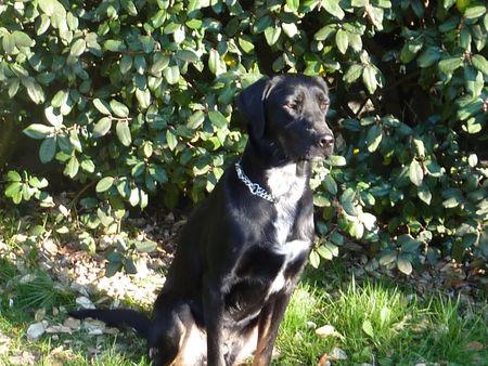 Je suis le plus beau P1090554