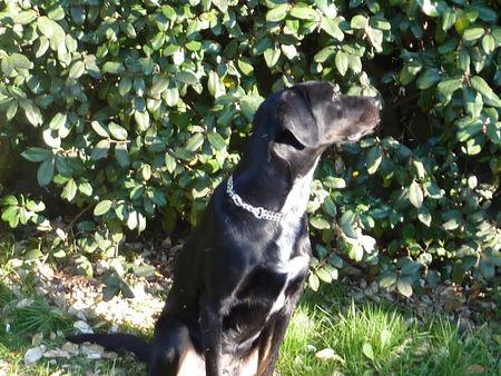 Je suis le plus beau P1090555