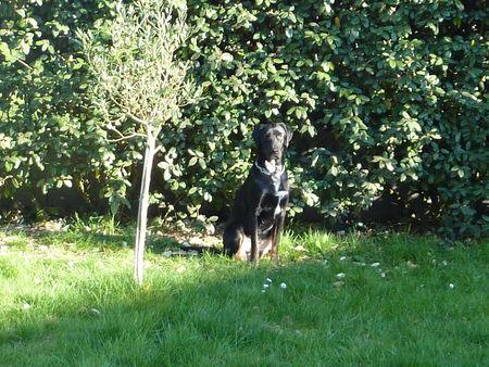 Je suis le plus beau P1090553