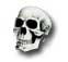Marketing viral Thor: Vous aussi rejoignez le SHIELD ! ghostrider2logo
