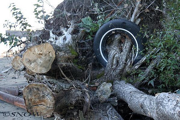 Après la vague... Japon Images-4-3312-OK-copie.jpg