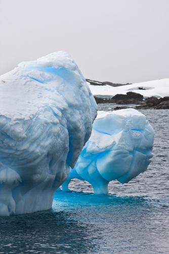 Ne restons pas de restons