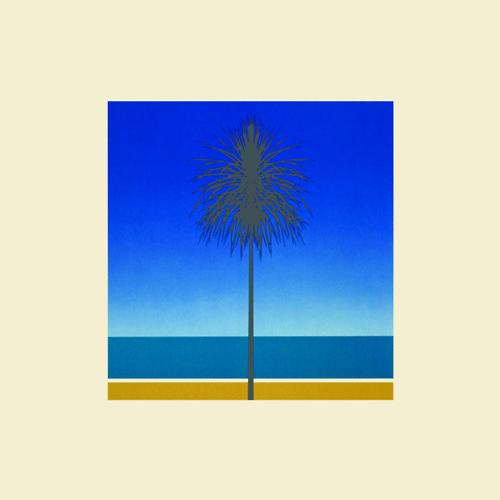 tumblr_lgd1rjviWb1qbxyupo1_500 METRONOMY – THE LOOK