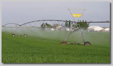 Trop de viande nuit à la santé et à l'environnement