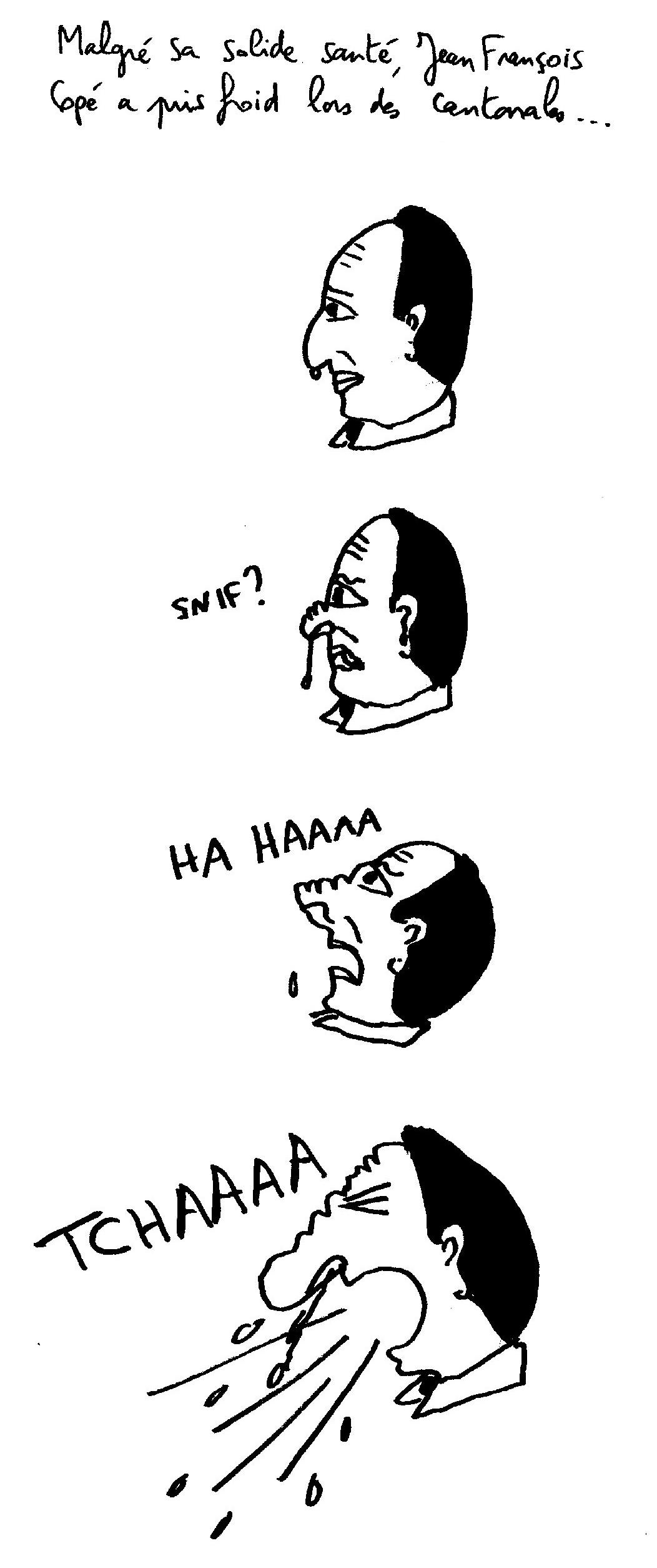 copé comme cochon 1 Quand le FN enrhume l’UMP