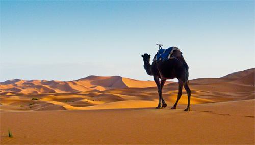 the-great-getaway-desert-escapade-Marrakech-hoosta-magazine
