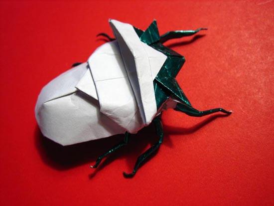Origami | Insecte