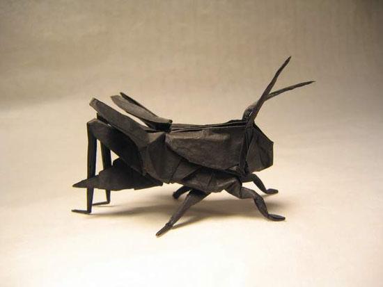 Origami | Insecte