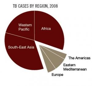 Journée mondiale contre la TUBERCULOSE 2011: Pas à pas vers l’innovation – World TB Day
