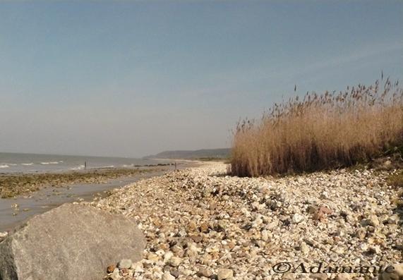 Le vent de l'infini plagenormande.jpg