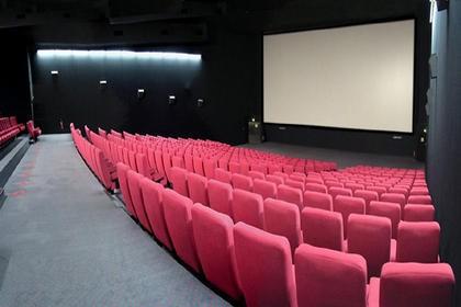 Les yonnais sont cinéphiles Cineville-La-Roche-sur-Yon_annu_structure_view.jpg