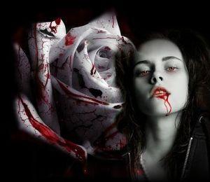 Des nouvelles en vrac du tournage de Breaking Dawn bella_vampire__2_