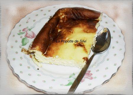 Flan rapide a la noix de coco SAM_4942
