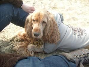 Les beaux jours reviennent! Je sais comment en profiter... Les beaux jours reviennent! Je sais comment en profiter...